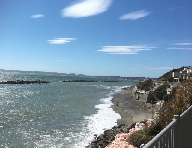 神奈川 三浦半島 でヒラメが釣れるポイント 神奈川釣りポイントマップ